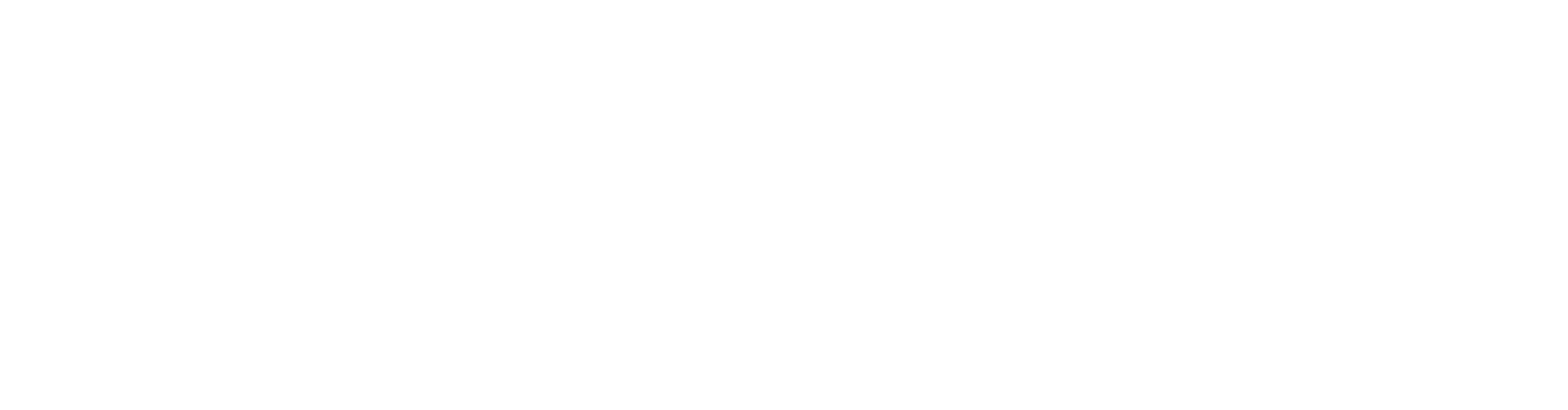 Shalom Austin Jewish Foundation