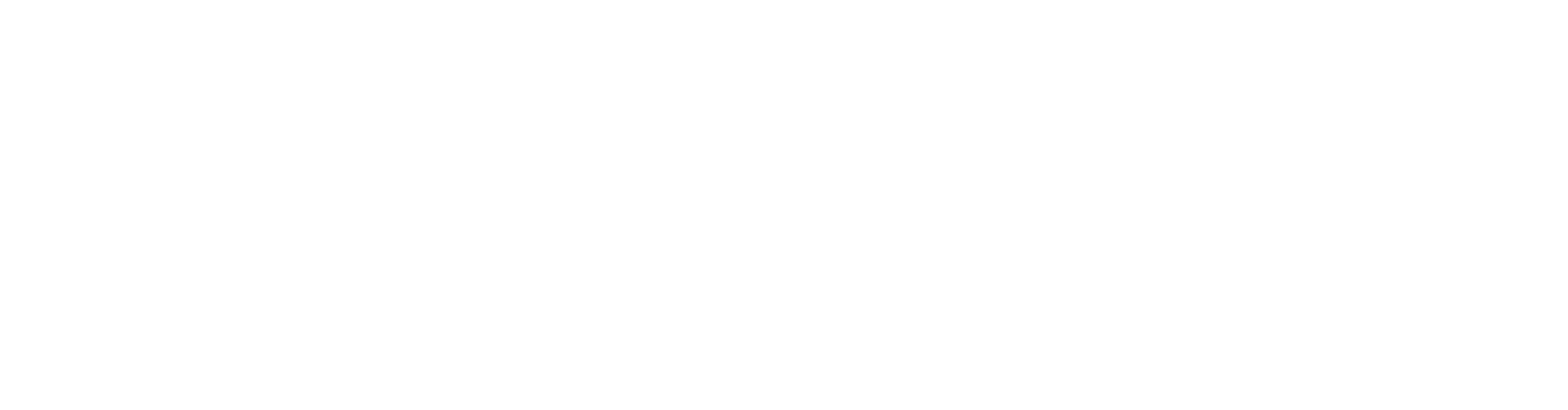 Shalom Austin Jewish Foundation